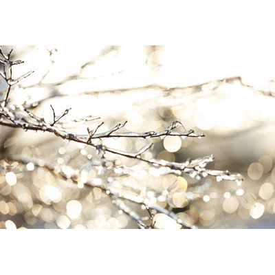 Frozen Branches In Winter by Sangfoto - Wrapped Canvas Print