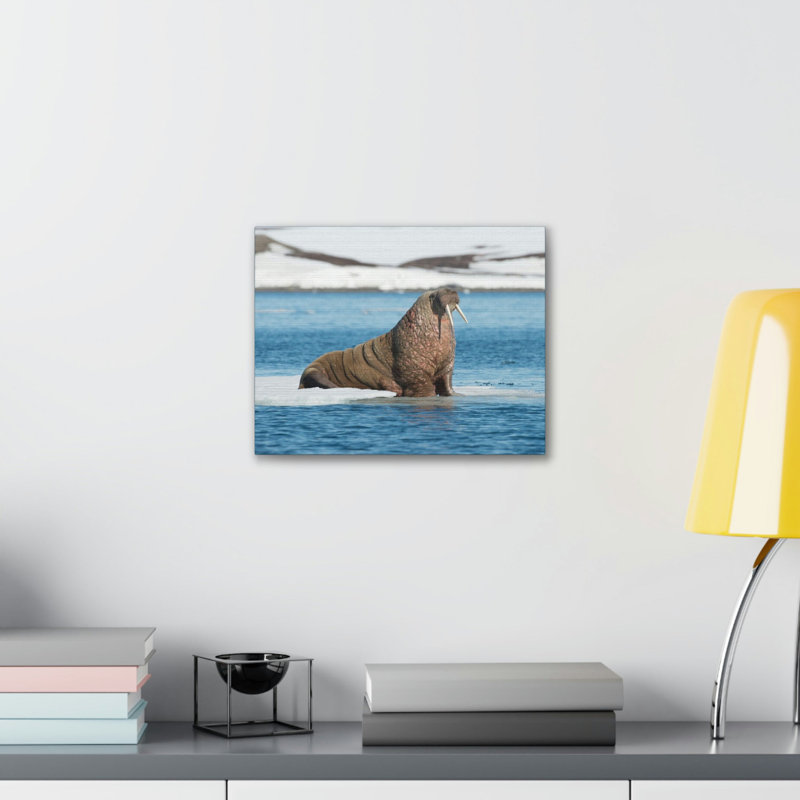No Frame Print on Canvas, 11cm H x 14cm W