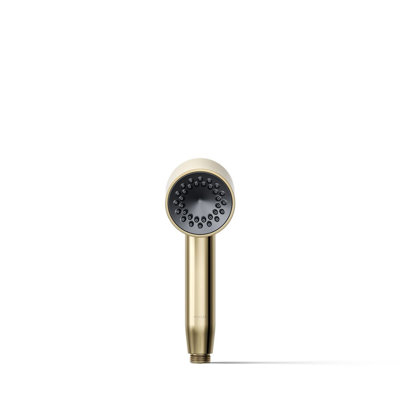 Statement 2.5 GPM Single-Function Iconic Handshower