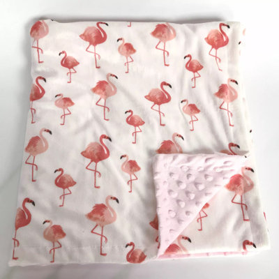 Fleece / Microfiber Baby Blanket