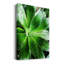 Green Tropical Succulent V - Photographie sur toile tendue-1329014528