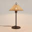 Ensemble de 2 lampes de table ARDEN