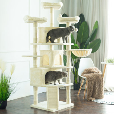 Zamudio 71.6535'' H Cat Tree