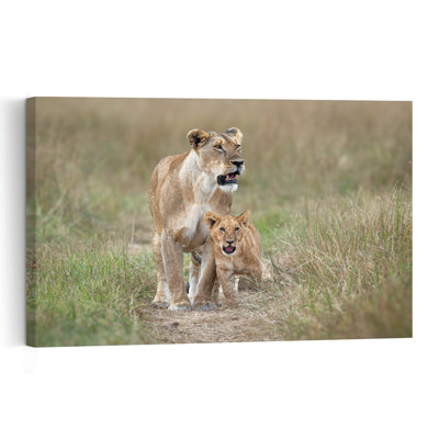 The Brave Little Cub Contemporary Lion Nature Wildlife Wall Art Print by Jeffrey C. Sink - 1 Piece Wrapped Canvas Wall Art