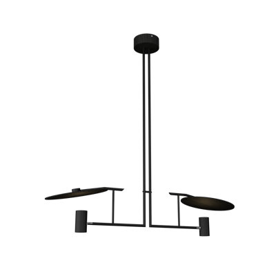 2 - Light Unique/Statement Pendant
