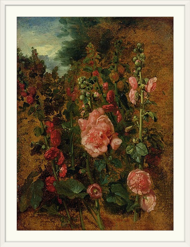 «Study of Hollyhocks», vers 1826 par John Constable - reproduction imprimée, H 32 po x l 25 po x P 1 po, Cadre blanc