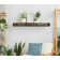 Tyringham Oak Solid Wood Floating Shelf