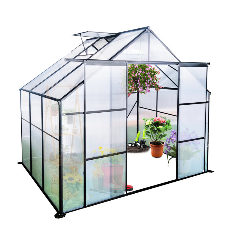 Serre en polycarbonate de 8 pi x 6 pi en noir - porte coulissante, abri de fleurs toutes saisons, plante double