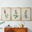 Traditional Botanical I - Toile tendue avec châssis sur mesure - 3 pièces-398857156-398857152