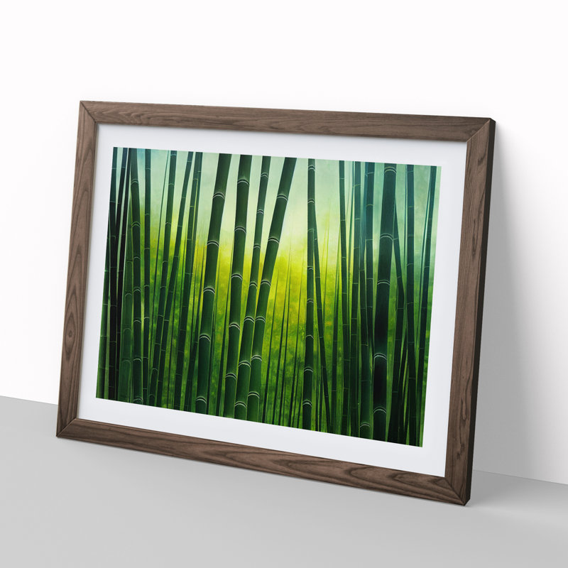 Cute Bamboo Forest - Framed Print, 46cm H x 64cm W x 2cm D, Walnut
