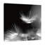 « summerstorm », reproduction de photo sur toile tendue-715523062