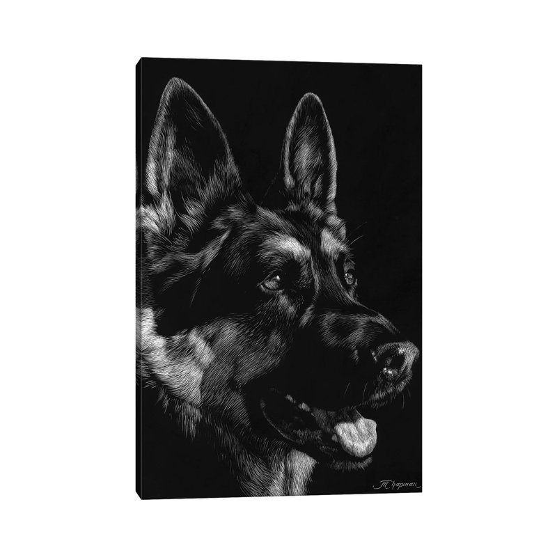 Canine Scratchboard I by Julie T. Chapman - Wrapped Canvas Print, 66.04 cm H x 45.72 cm W x 1.91 cm D