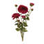 Ensemble de fleurs Zinnia (ensemble de 2)-982676398