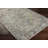 Albion Oriental Indoor Rug-1010257115