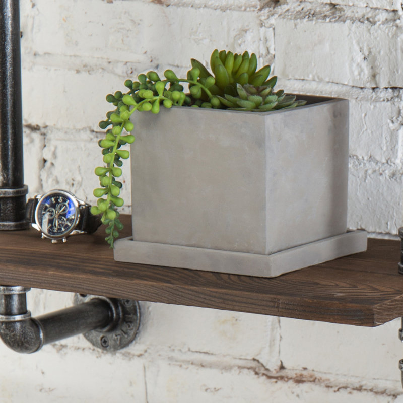 Square Concrete Succlent Pot Planter