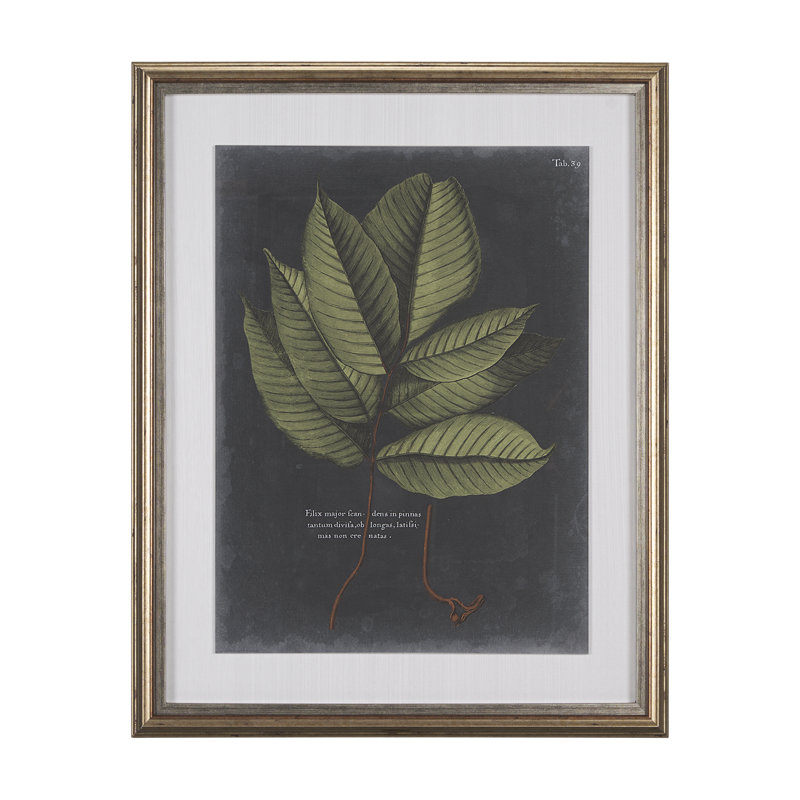 Foliage Dramatique III by Vision Studio Hand Embelished Textured Framed Art Print Matted under Glass
