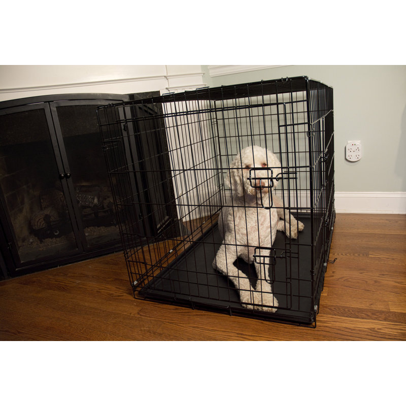 Caisse pour animaux Cecere, H 20 po x l 18 po x P 24 po