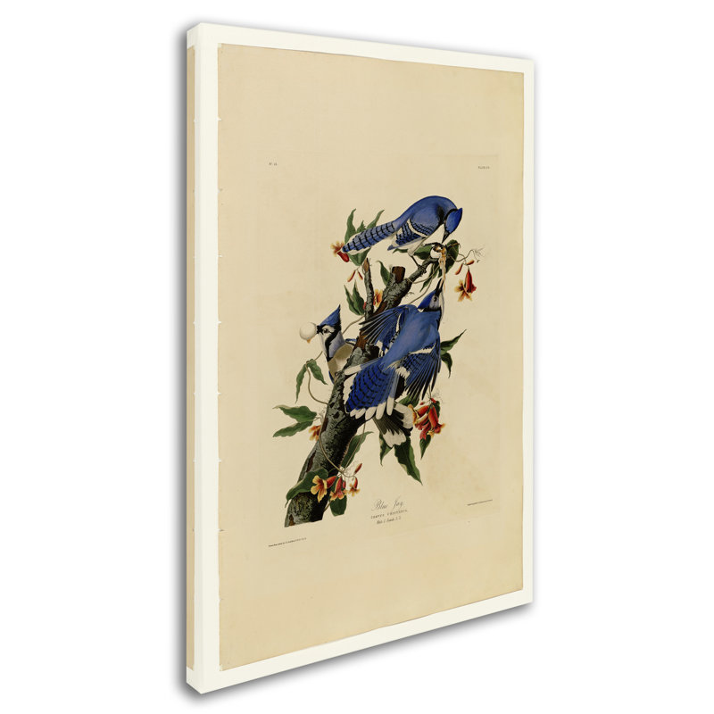 « blue jayplate 102 », reproduction sur toile tendue, H 19 po x l 12 po