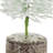 6"H Pine Trees - Set of 12 - White