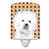 Bichon frisé blanc