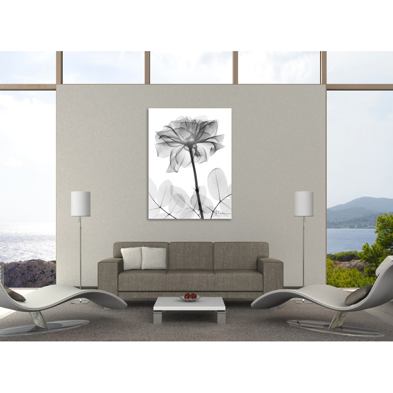 «Rose Dynasty 2», toile tendue par Albert Koetsier, H 48 po x l 36 po x P 1,5 po