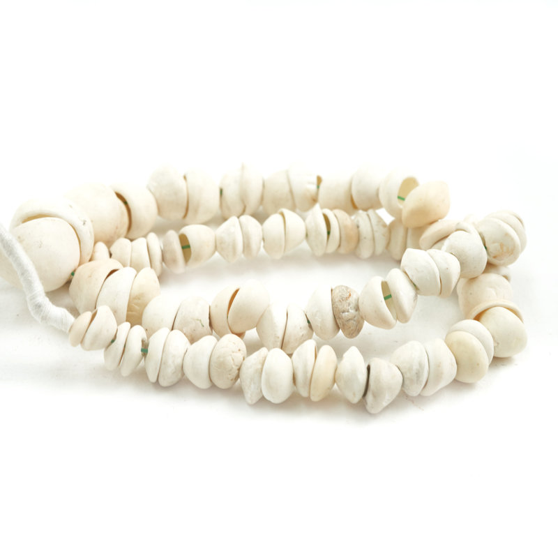 Lily's Living 15"L White Decorative Shell Strand From Ivory Coast, Home Accent Art Décor