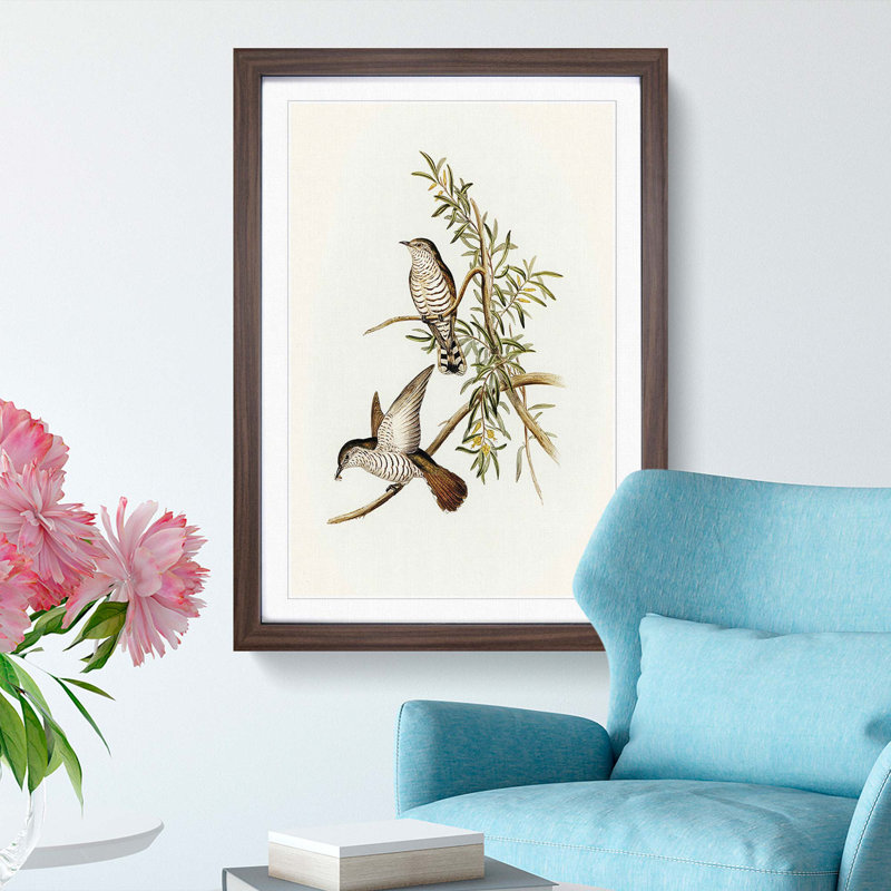 Little Cuckoos by Elizabeth Gould - Picture Frame Painting Print, 65cm H x 48cm W x 2cm D, Walnut Framed
