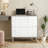 2-Drawer File Cabinet,Ample Storage Cabinet