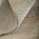Jaxson Modern Abstract Area Rug