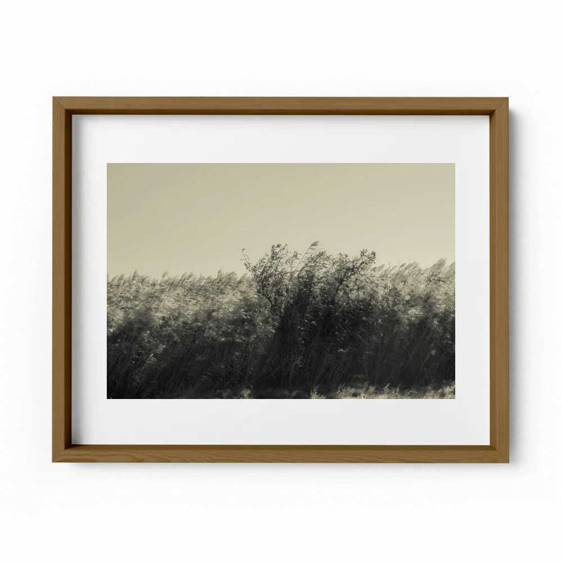 The Summer Wind Print by Joseph Regan, Walnut, 26" H x 36" W x 0.75" D
