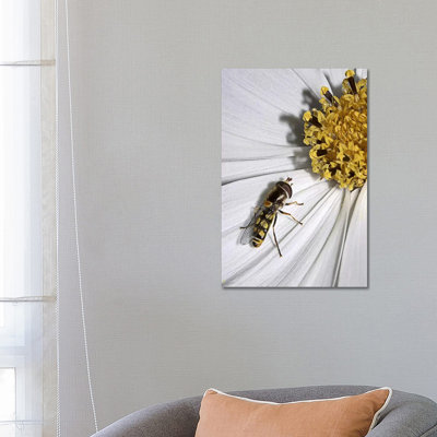 One by SD Smart - Wrapped Canvas Print