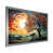 Silver Single Picture Framed