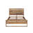 Kanwal Solid Wood Standard Bed-79771315
