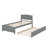 Platform Bed With Trundle-2109881369