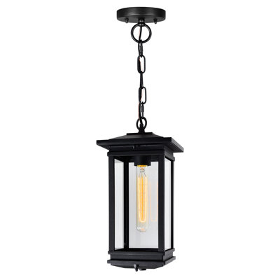 Luminaire suspendu d'extérieur noir 1 lumière Oakwood