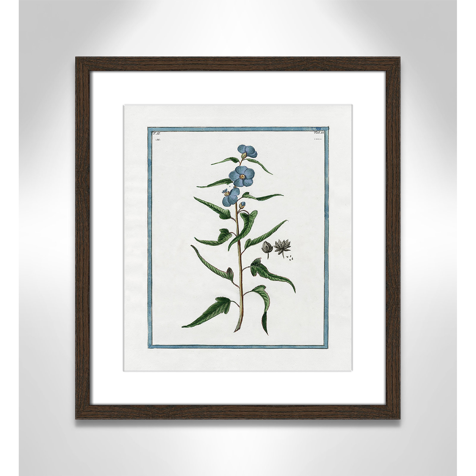 Colombe "Shabby Elegance Botanical I" Print, 13" W x 15" H, Walnut Framed