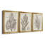 «Sepia Exotic Plants I», ensemble de 3 peintures sur toile encadrées-1945089308-1945089310