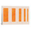 Wrapped Canvas Print-49993701
