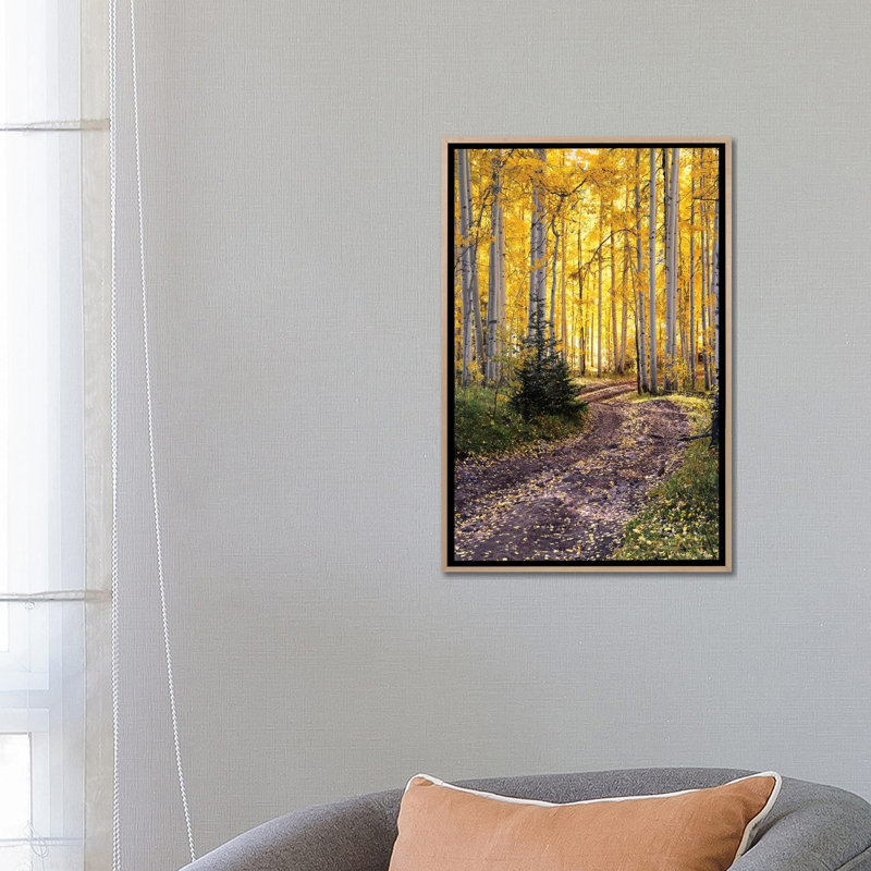 Autumn Aspen Forest Road - Colorado Fall Colors by Daniel Forster - Gallery-Wrapped Canvas Giclée on Canvas, Natural Wood