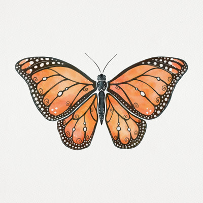 «Monarch Butterfly Orange» par Avenie, impression sur toile tendue