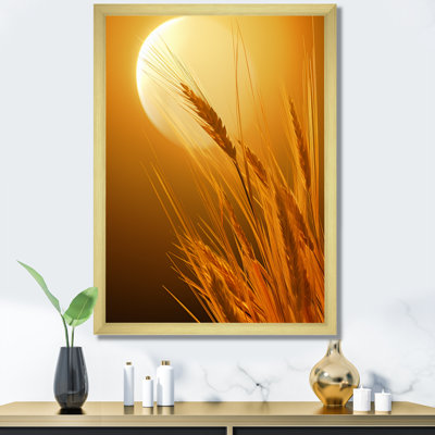 " Moon Honey Harvest Dreamscape II "