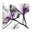 «Lavendar Lustre 1», reproduction d'impression sur toile tendue-23604946