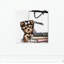 «Fashion Book Yorkie Glam Custom», impression-33631690-66971888