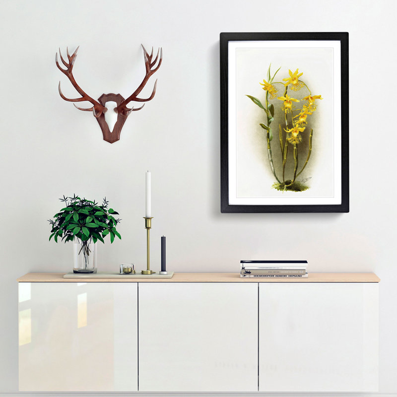 Magnolia Flowers Illustration Tab. 92 by Frederick Sander - Picture Frame Painting Print, Black, 91cm H x 60cm W x 2cm D