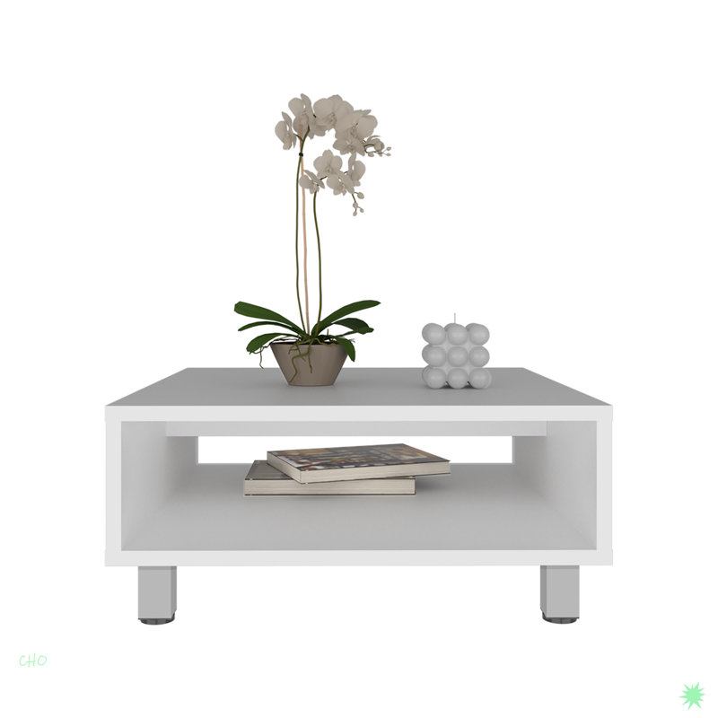 Minimalistic Square Coffe Table With Open Storage, White