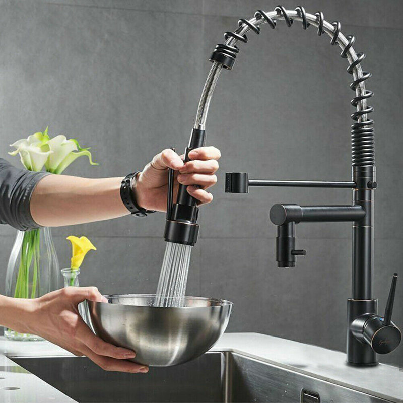 Belfry Kitchen Obadiah Pull Out Kitchen Faucet with Soap Dispenser