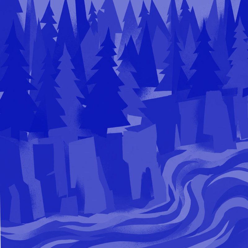 Rideaux de douche Pine River, L 70 po x H 93 po, Bleu moyen / bleu foncé