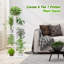 Plant Stand-895533886