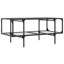 Crytal Coffee Table with Storage-1530319369