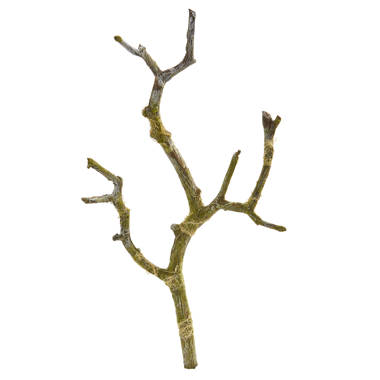 30 Birch Twigs Decorative Branches